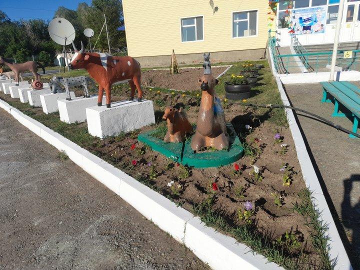 Мектеп ауласын көгалдандыру